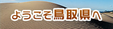 LinkIcon